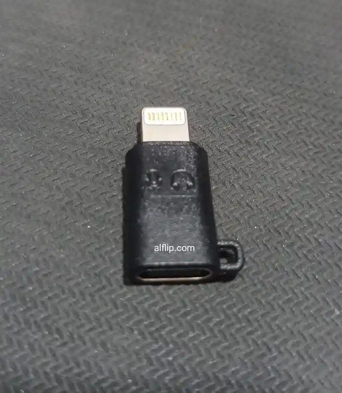 GT11 Type c to Lightning otg Converter